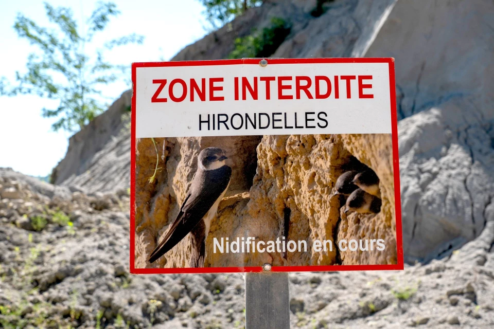 Panneau indiquant une zone interdite en raison de la nidification des hirondelles sur le site des carrières Malet.