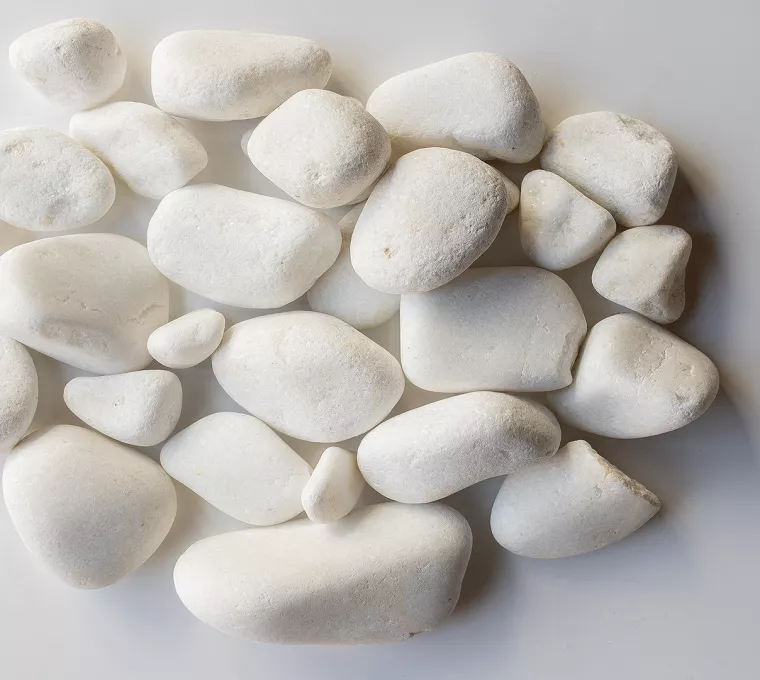 Galets blanc roulé 20/40