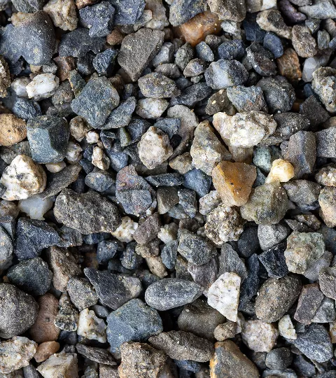 Gravillon de Tranchée