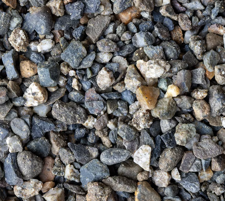 Gravillon de Tranchée